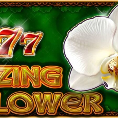 Blazing Flower – CT Interactive казино слот | Безплатно демо