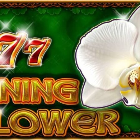 Burning Flower – CT Interactive казино слот | Безплатно демо
