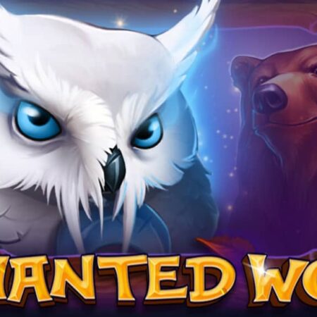 Enchanted Woods – CT Interactive казино слот | Безплатно демо
