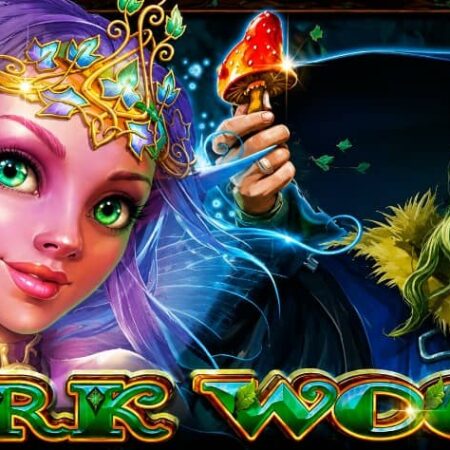 Dark Woods – казино слот от CT Interactive