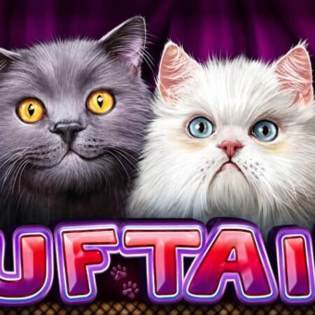 Fluf Tails слот от CT Interactive/Играй безплатно демо