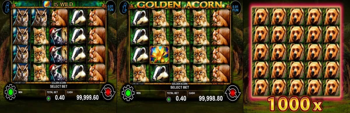 Ревю на Golden Acorn от CT Interactive – горски слот с 5 барабана, 40 линии, Wild жълъд, Scatter цвете, Stacked символи и печалба до 1000x.