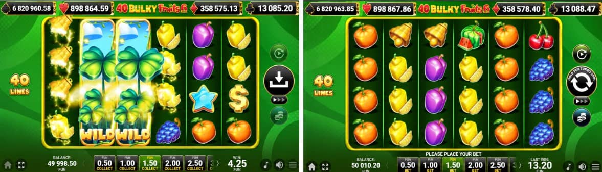 40 Bulky Fruits 6 Reels е плодов слот от Amusnet с 6 барабана, 40 фиксирани линии, разширяващ се Wild, два Scatter символа, Gamble и Jackpot Cards.