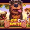 Ревю на The Big Dog House – слот от Pragmatic Play