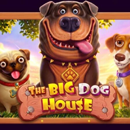 Ревю на The Big Dog House – слот от Pragmatic Play