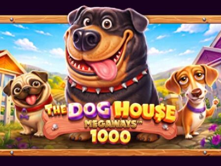 The Dog House Megaways 1000 – слот от Прагматик Плей