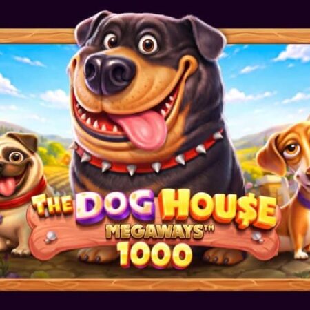 The Dog House Megaways 1000 – слот от Прагматик Плей