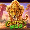 Cheetah Wild слот ревю 2026 – казино игра от Pragmatic Play | Демо
