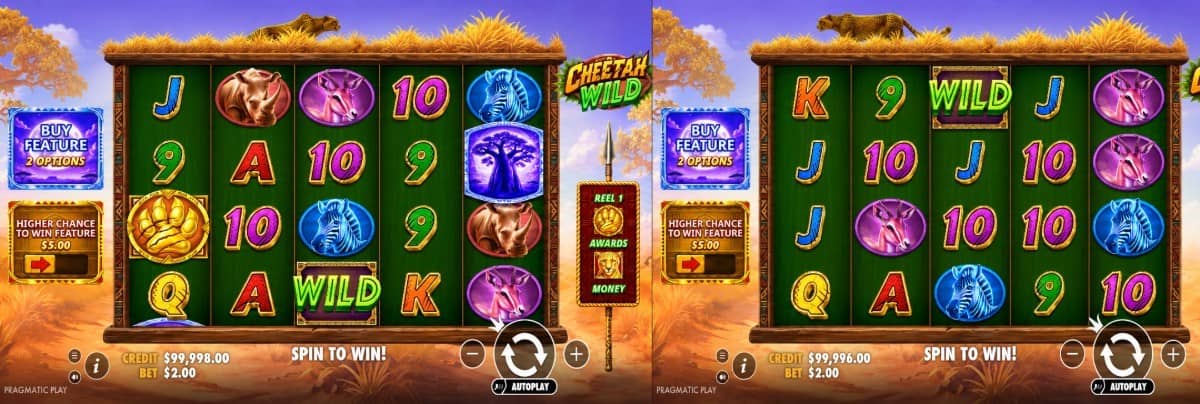Cheetah Wild слот е нова казино игра на Pragmatic Play, парични символи, множители на заместващите символи, безплатни завъртания, RTP 96,50% и безплатно демо. Cheetah Wild слот е нова казино игра на Pragmatic Play, парични символи, множители на заместващите символи, безплатни завъртания, RTP 96,50% и безплатно демо.