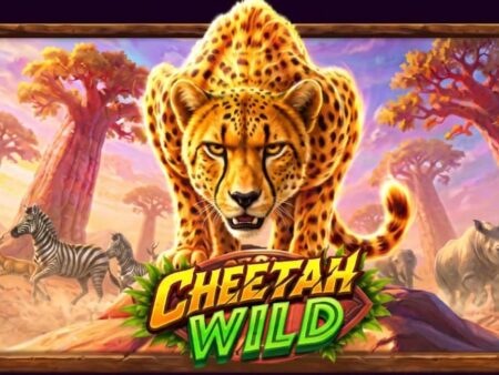 Cheetah Wild слот ревю 2026 – казино игра от Pragmatic Play | Демо